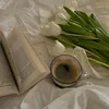 mn.al.8