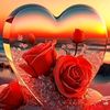 sadiq.alshami