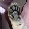 rubencitorosales6