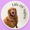 thelifeofaspen5