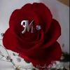 user6107161867841