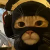 gorrilaz_fan3