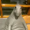 clgyzfollowing