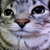helloguisigmail.com
