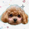 Cục Cưng Conner