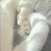kittens7536