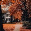 autumnrise.mov