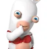 rabbidzinv
