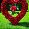 sayed.ali.asghar52