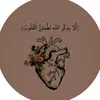 user36635031940807