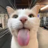lululemonade77