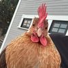 meetmeinmidlife