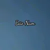 nambao663