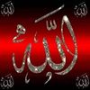 mamatmohamed1445