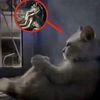 mystery222210