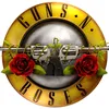 Guns n roses south america
