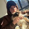 lp2_offical
