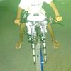gl.kalimantan.sel
