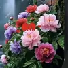 th.thi609