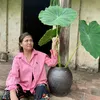 vothonthattha