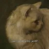 ريَاح
