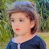 user9369619817272