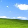 ivos❤️