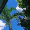 hello_everyone5_a