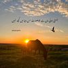 chishtian3746
