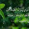 user7380659906872