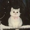 ho_ra86
