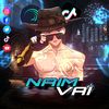 naim_vai403
