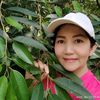 thitikanthongsuk4