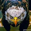 من أنتم 🦅🇹🇳