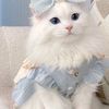 fatimashahzad636