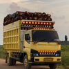 riskyy2538