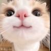 muslim_user20