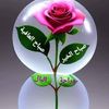 user1376246747347