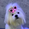 melinda.shihtzu.ofc