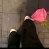 hala.elaidy0