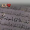 user28138195237765