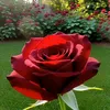 mounia7656