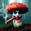 1smokedmushrooms
