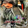 user37563860186190
