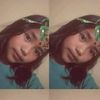 shelin677