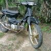 astrea.kampung1