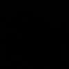 sli_2012s