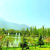 zubair.ahmd52