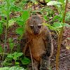 anak.orang0048