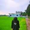 tamimparvejj.isla